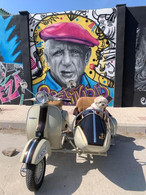 Apartamento Centro Historico Malaga Andra エクステリア 写真